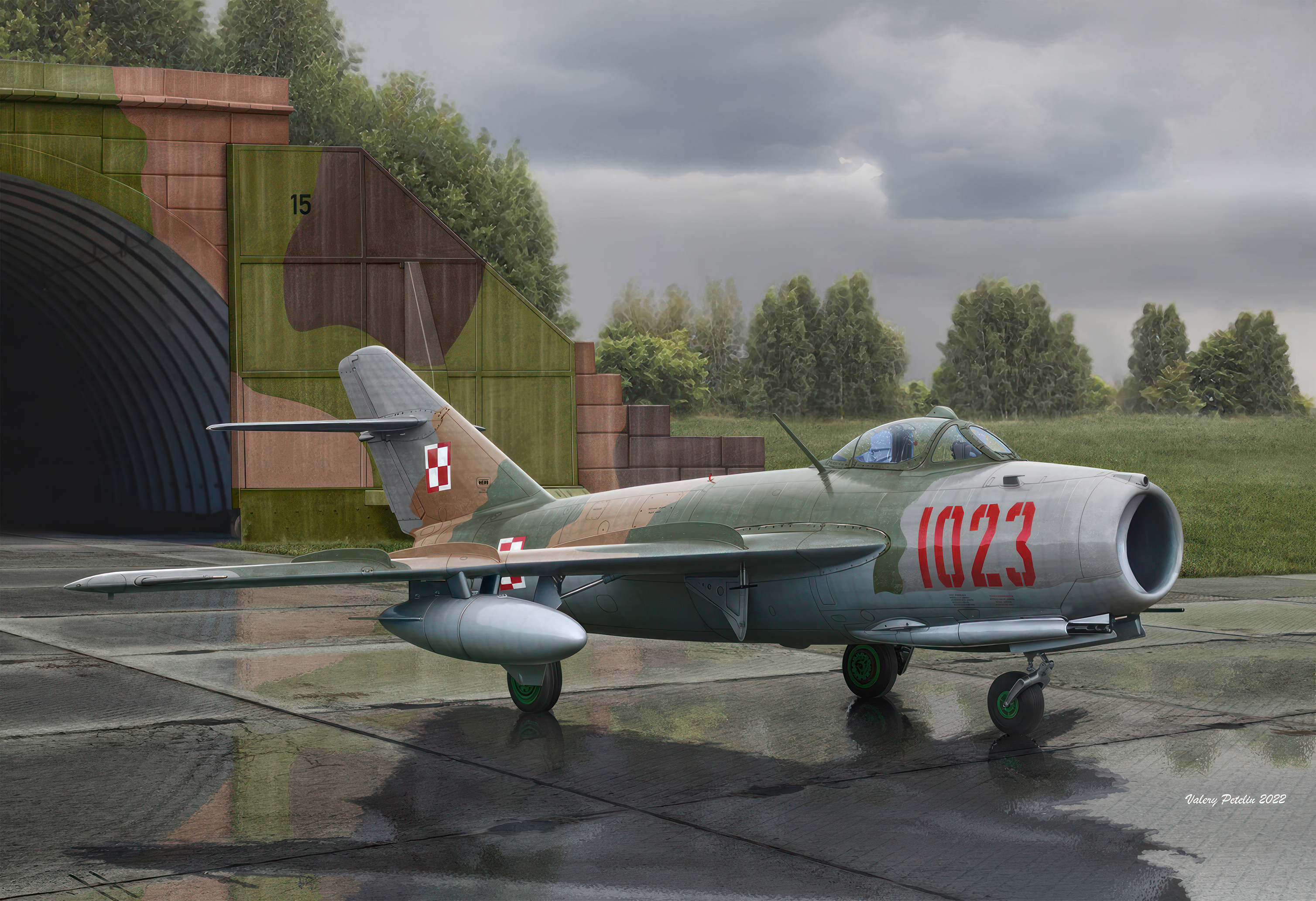 рисунок Польский МиГ-17