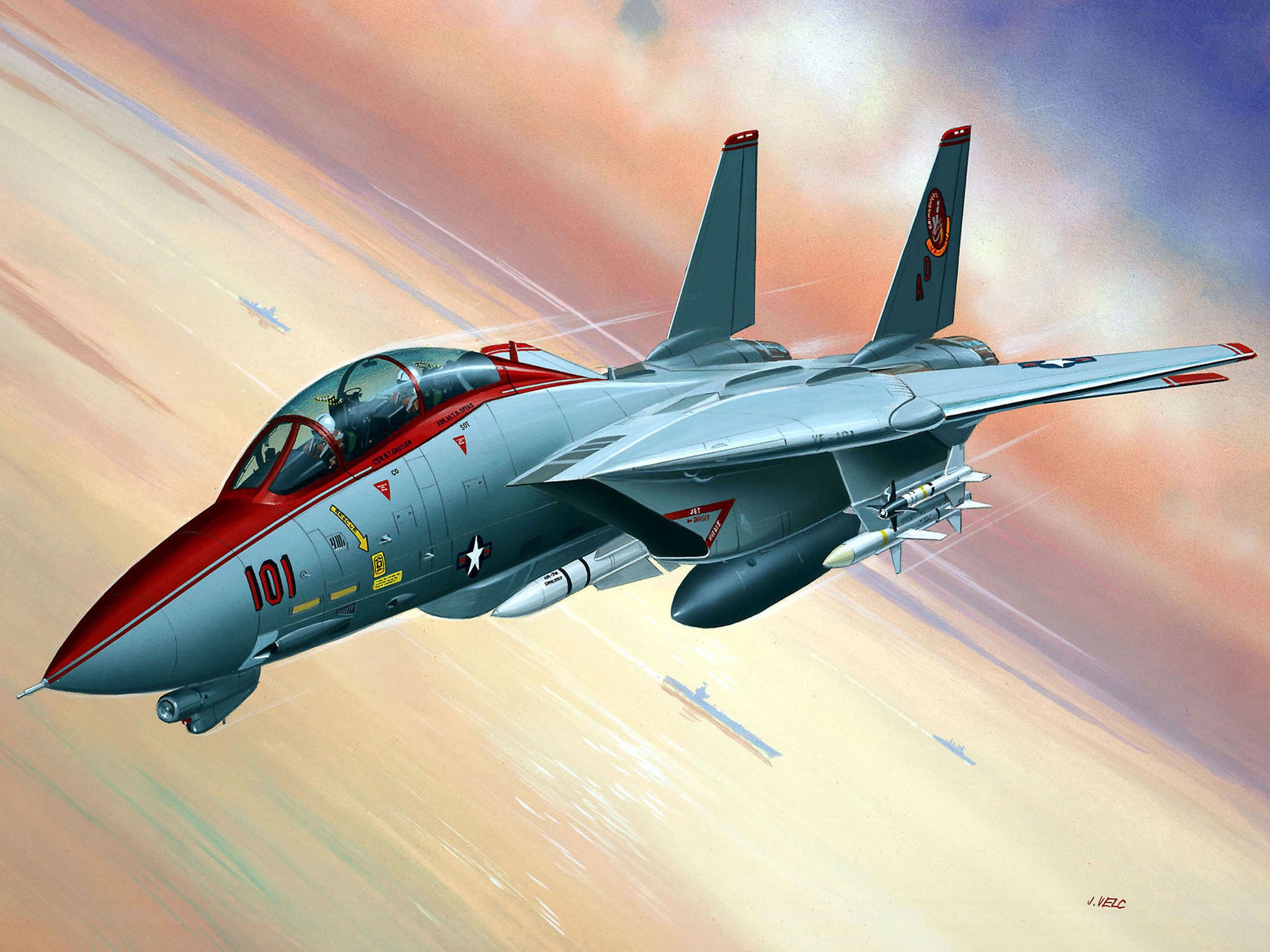 рисунок US F-14 Tomcat