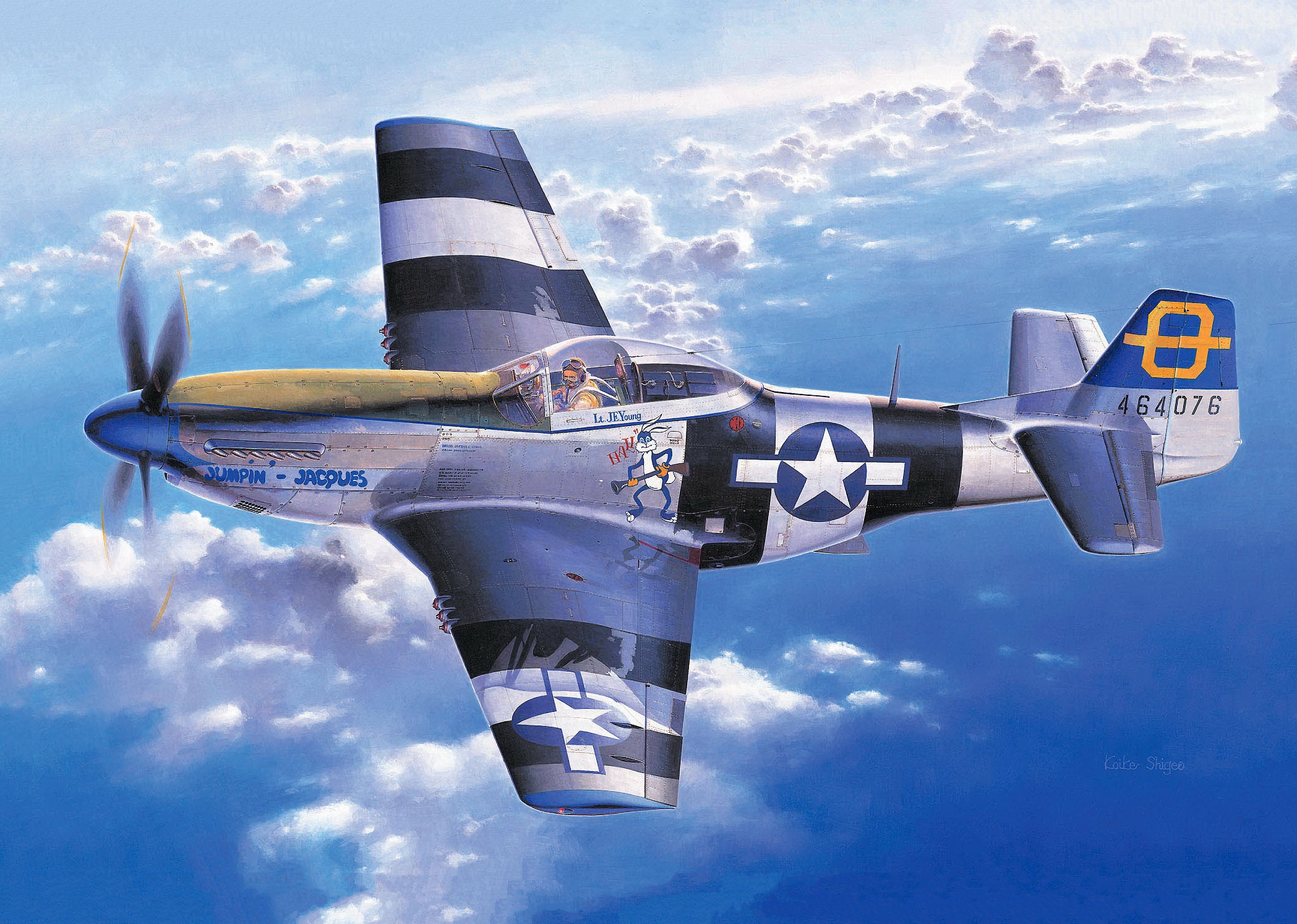 рисунок P-51D Mustang US Army Air Force Fighter