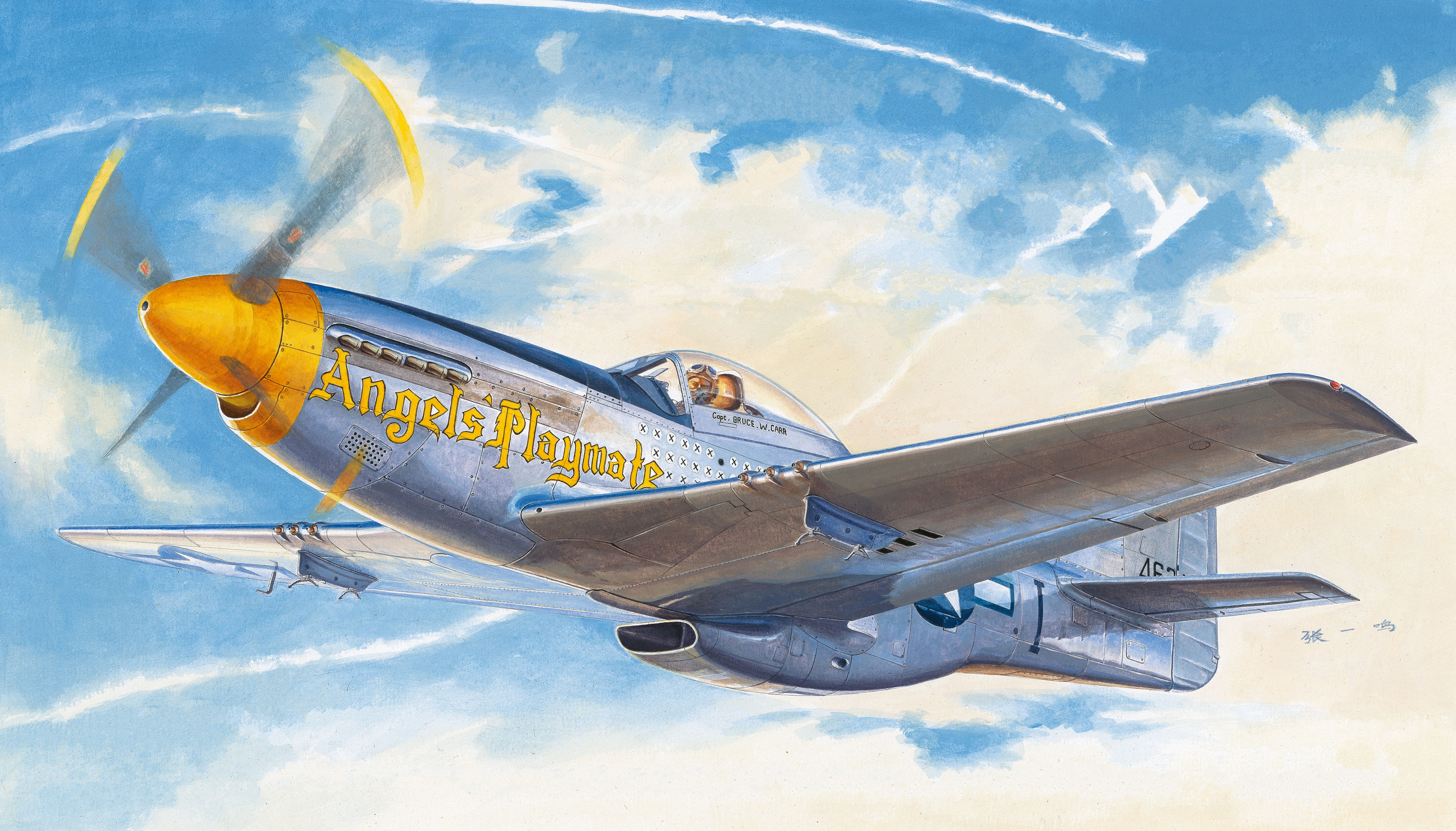рисунок North American P-51D Mustang "Yellow Nose"