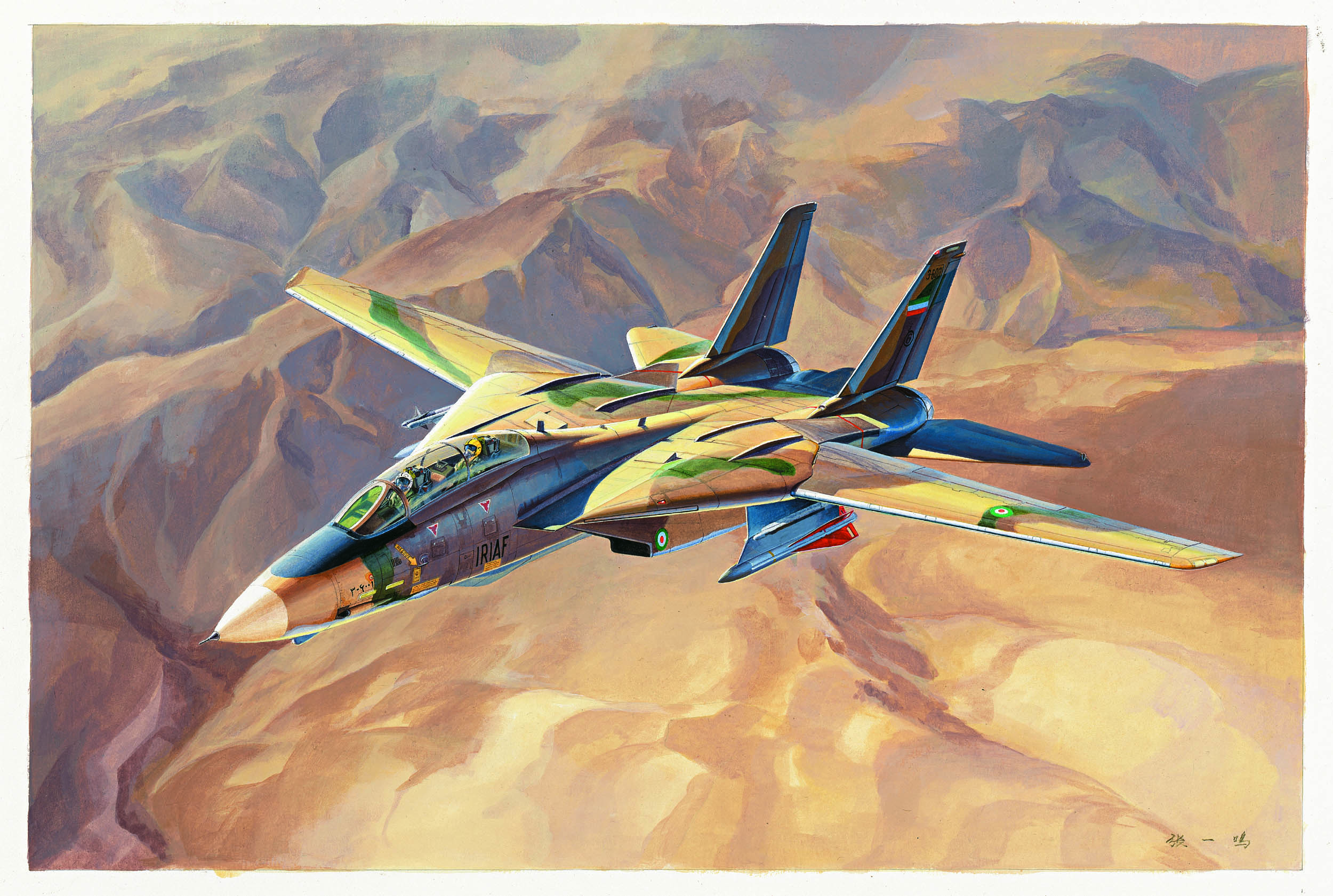 рисунок Persian Cat F-14A Tomcat - IRIAF