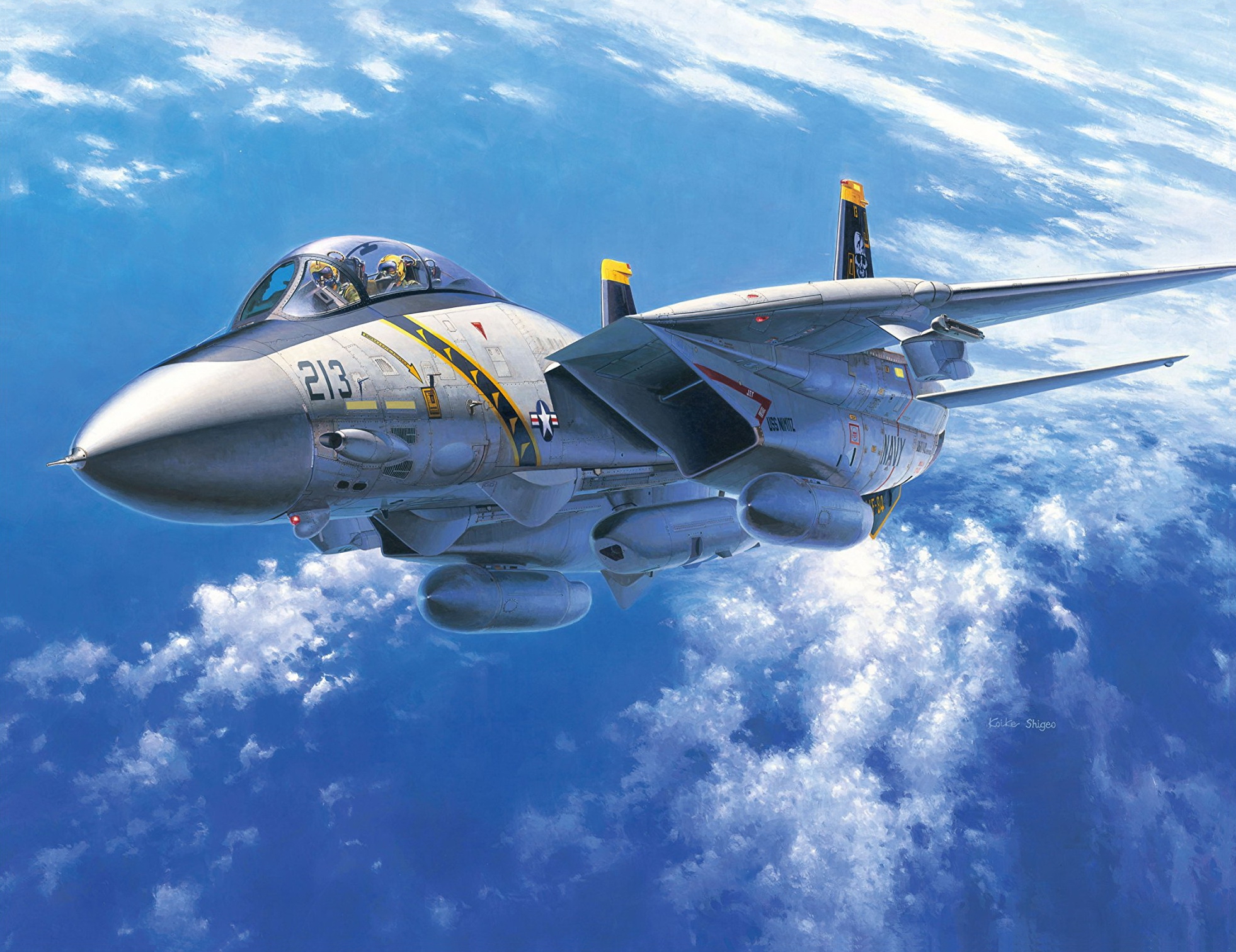 рисунок F-14A Tomcat (US Navy Carrier Borne Fighter)