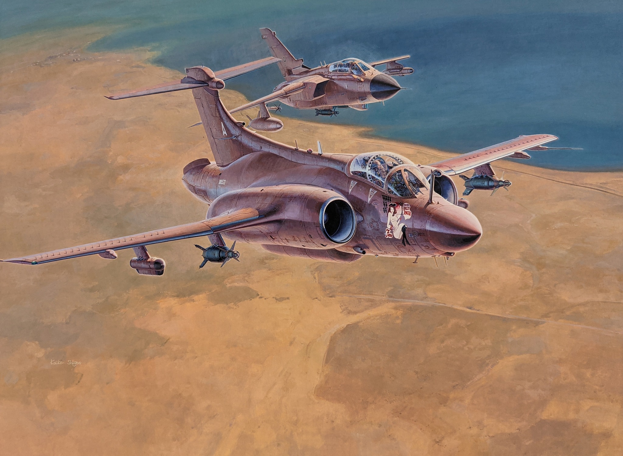 рисунок Blackburn Buccaneer S Mk.2B, Gulf War, 1991