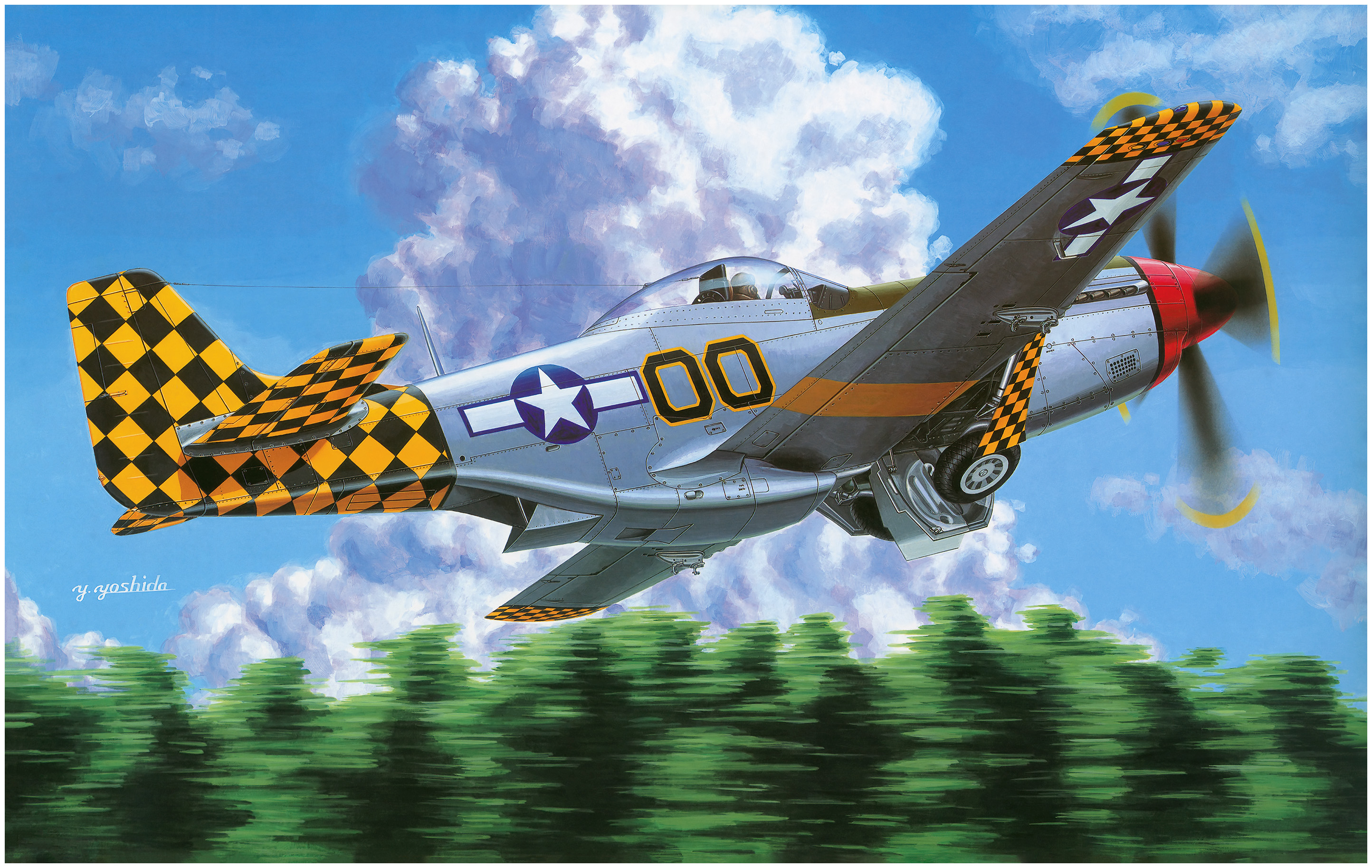 рисунок P-51D Mustang 'Checker Tail Clan'