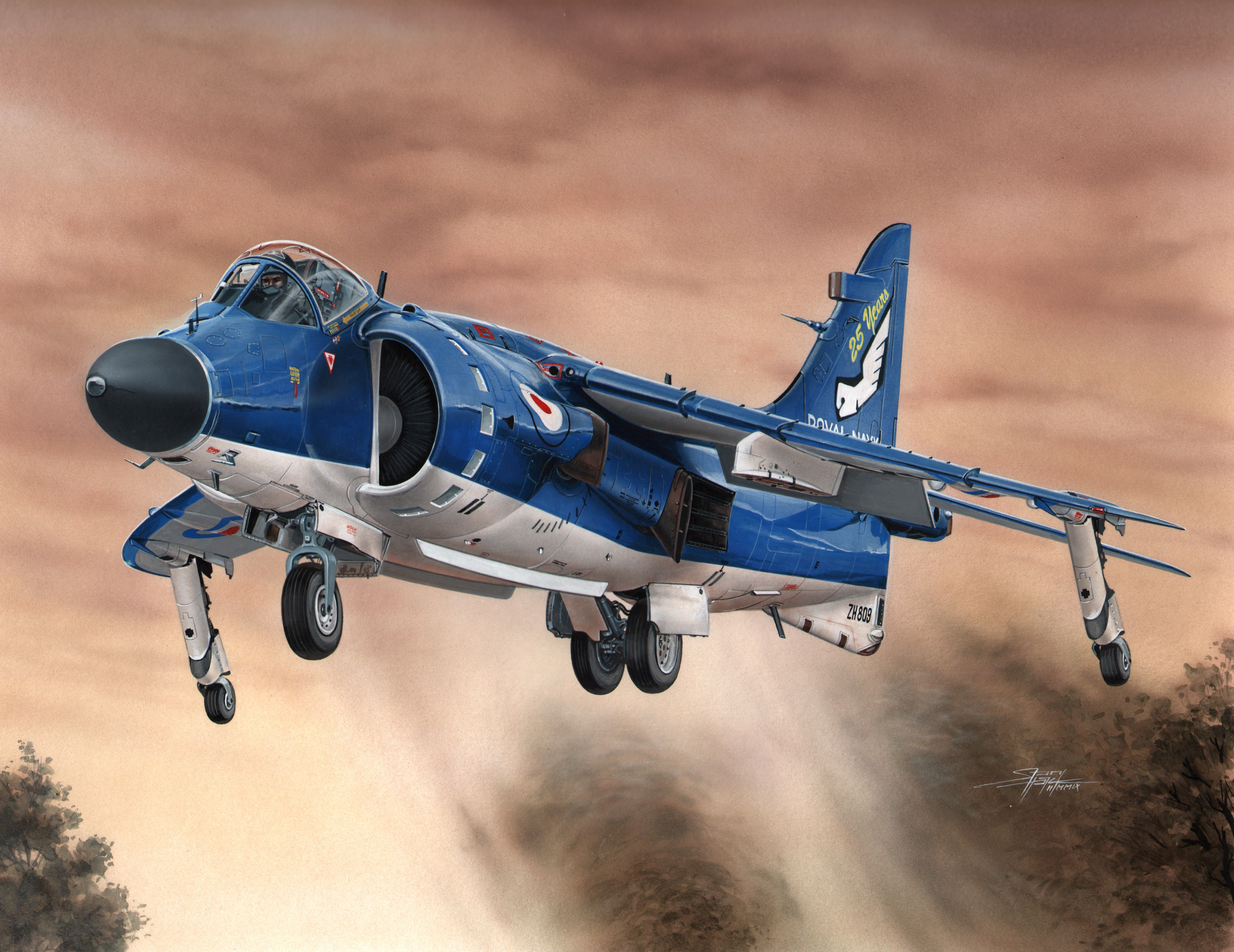 рисунок Sea Harrier FA.2
