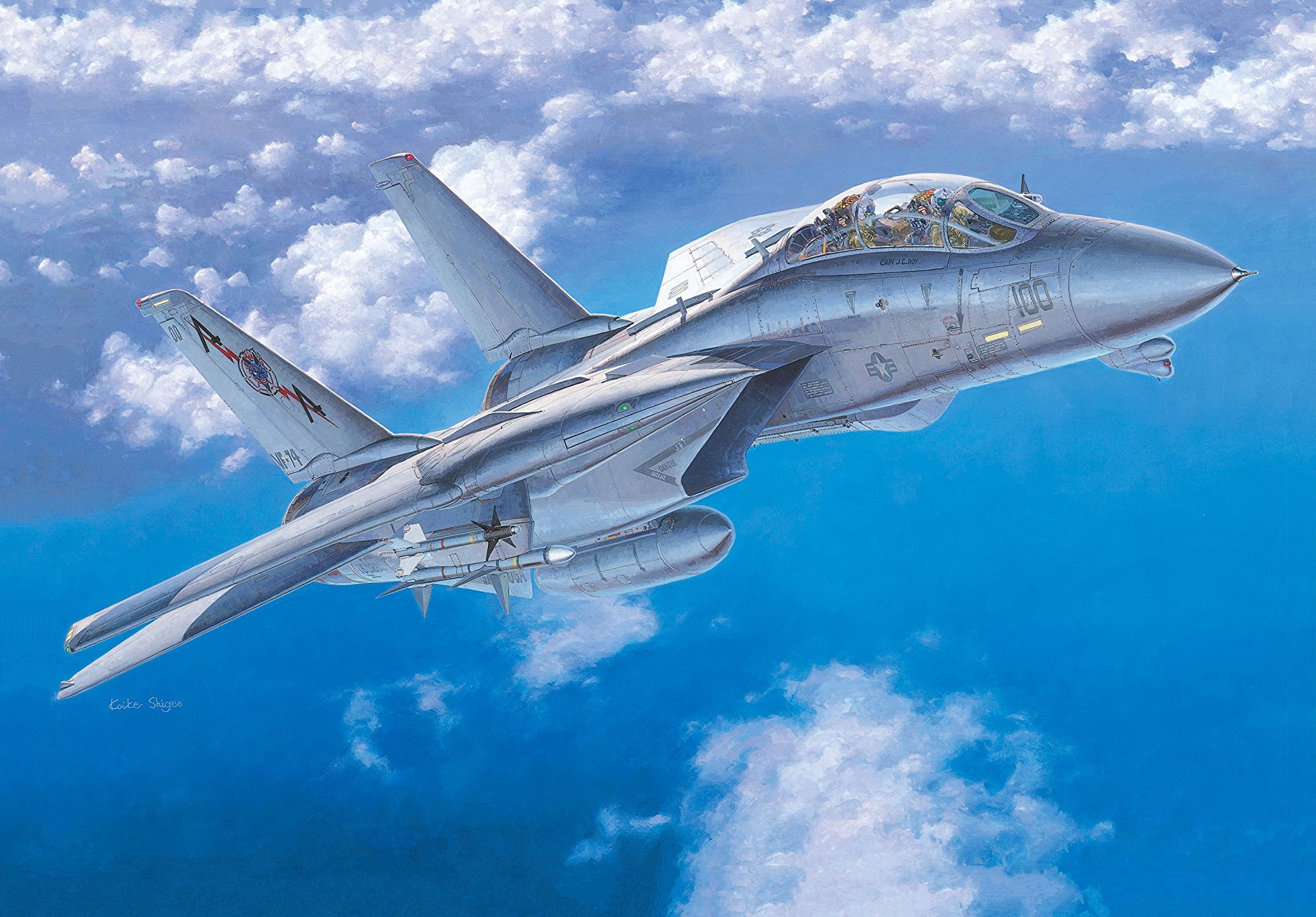 рисунок F-14A Tomcat (US Navy Carrier Borne Fighter)