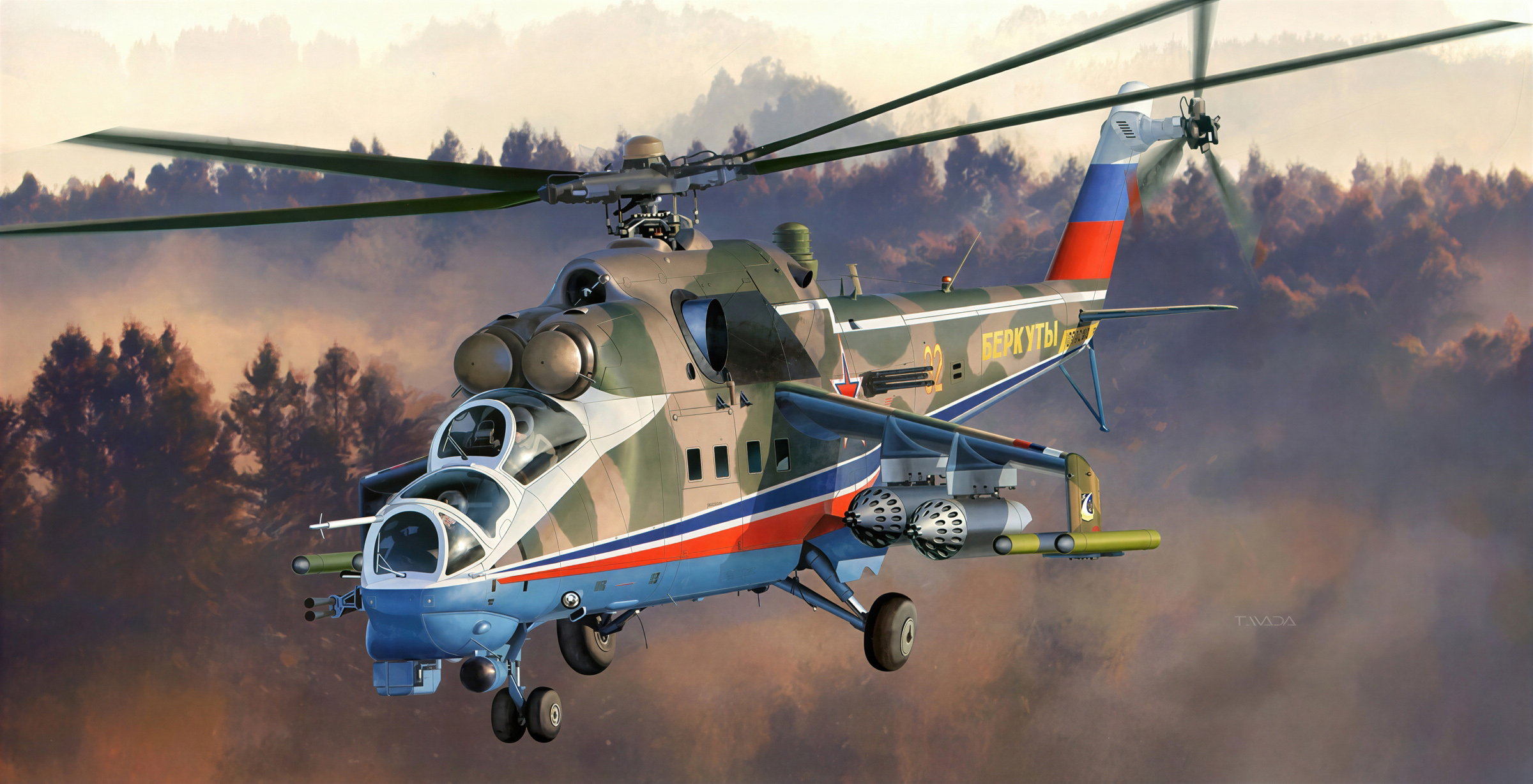 Ми-24 Беркуты (Авиация)