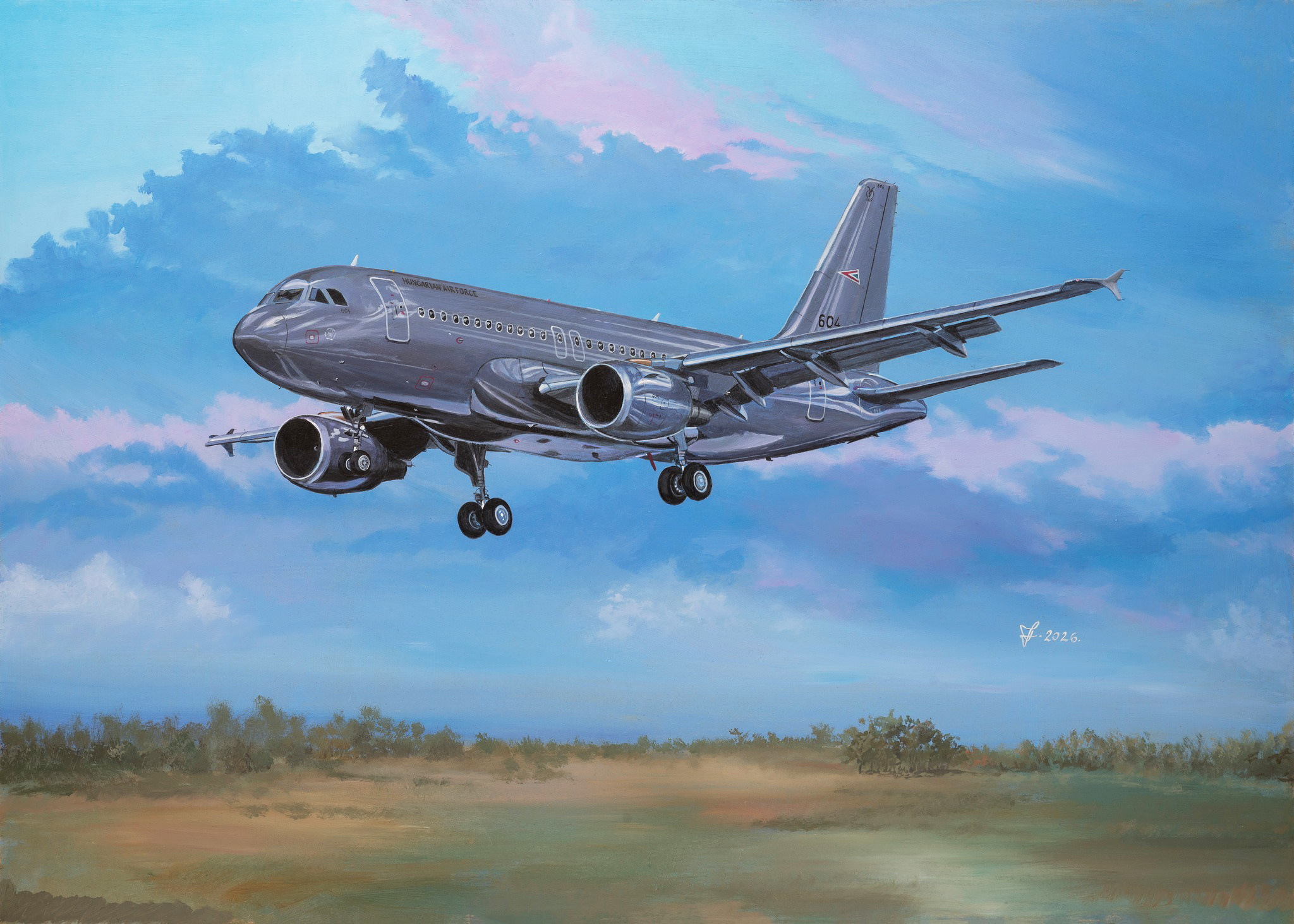 Hungarian Air Force Airbus A319